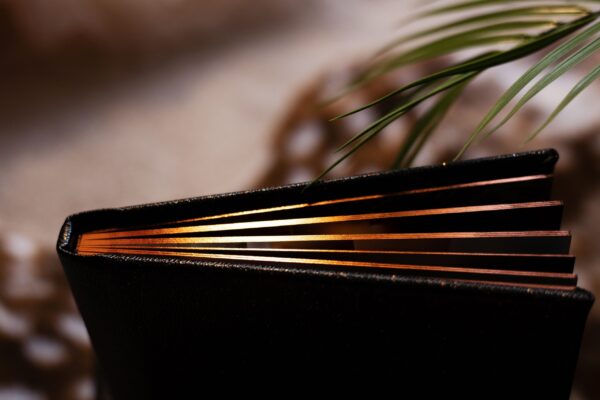 A22A2387 A gorgeous luxury boudoir album featuring Dark Ambar gilding